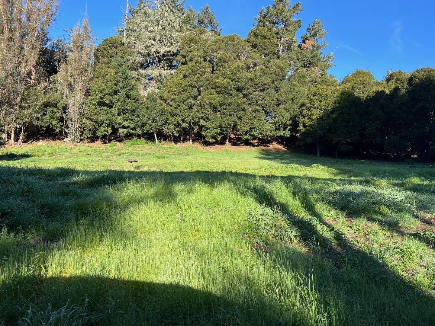 502 Olive Springs Road Soquel, CA 95073 - Photo 5 of 8 a view of a lush green space