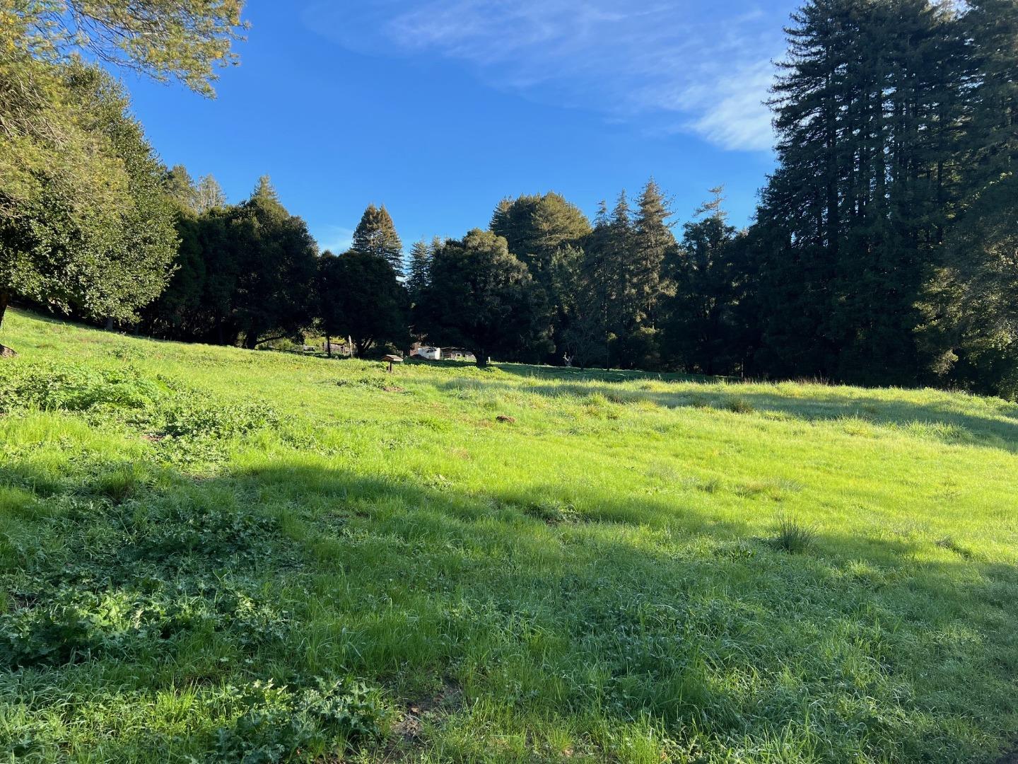 502 Olive Springs Road Soquel, CA 95073 - Photo 6 of 8 a view of yard with swimming pool and trees in the background