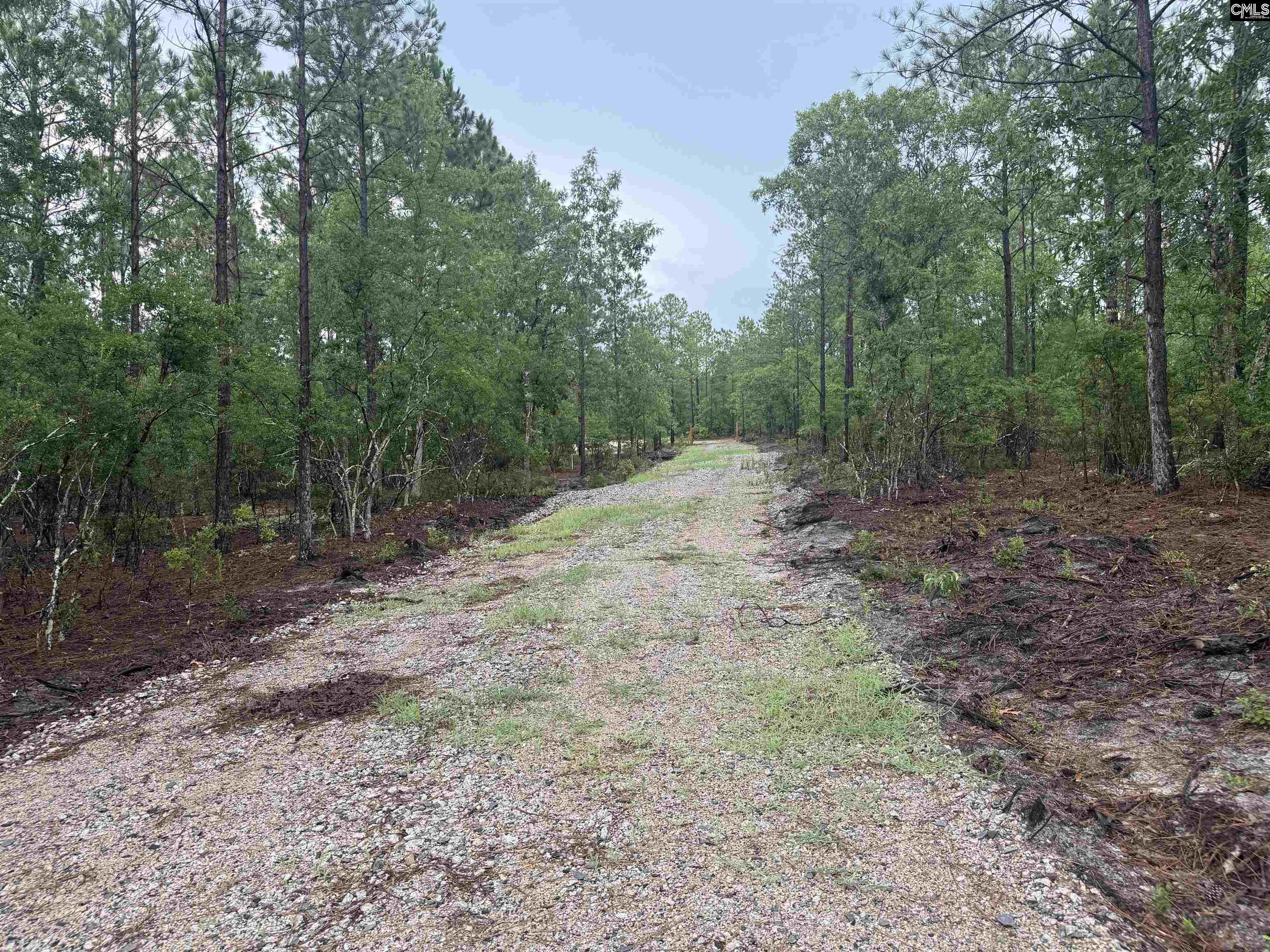 1101 Corbett Road Camden, SC 29020 - Photo 9 of 10 Gallery Image 9