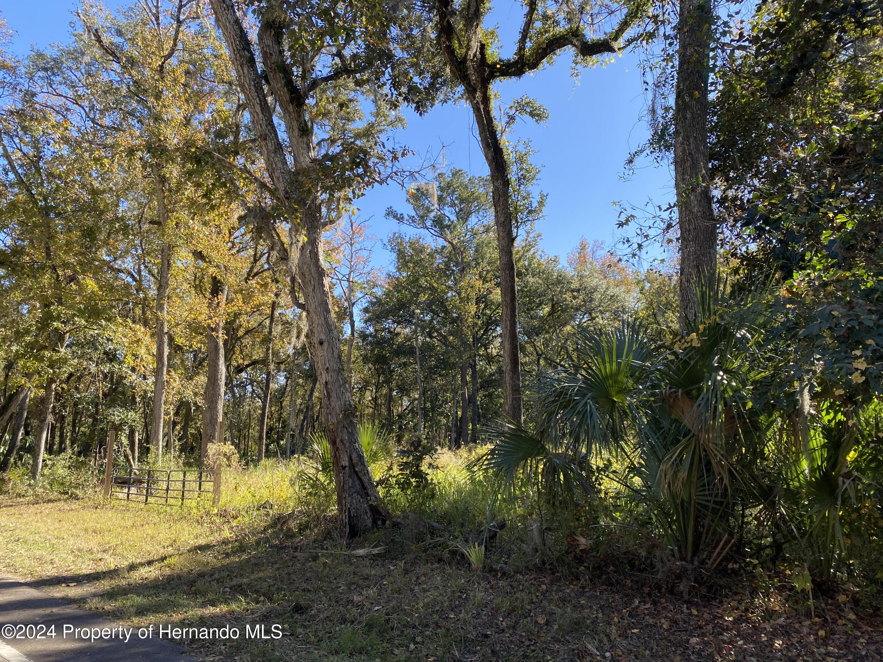 0 Lake Lindsey Road Brooksville, FL 34601 - Photo 5 of 5