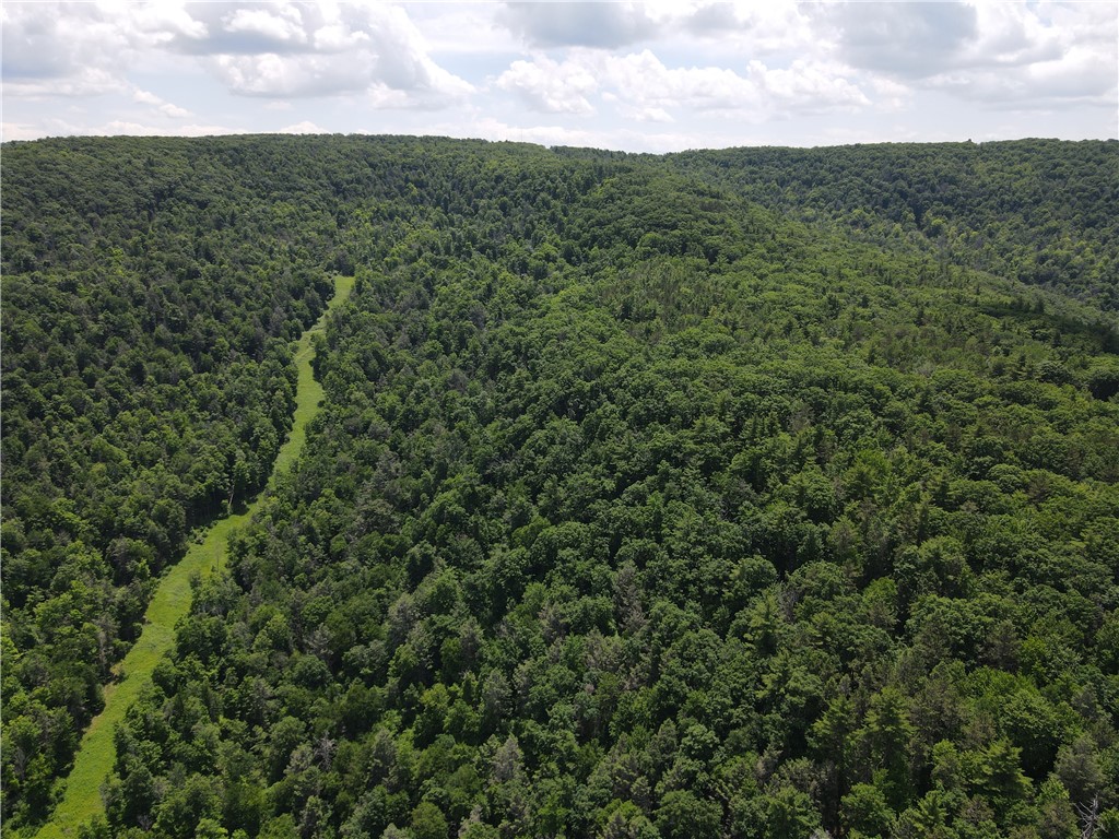 Vl Catatunk Road, Unit R Canisteo, NY 14823 - Photo 12 of 50