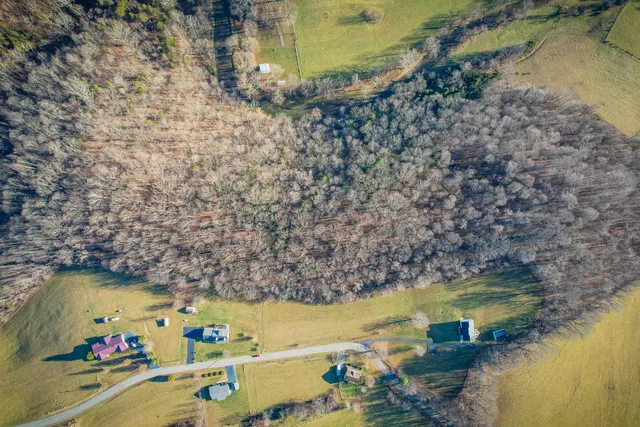 $21,000 | Tbd Scenic Elk Garden Drive, Unit 14, Lebanon, VA 24266