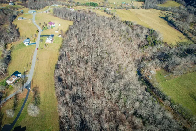 $21,000 | Tbd Scenic Elk Garden Drive, Unit 14, Lebanon, VA 24266