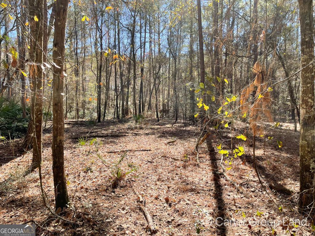 4.76 Lanes Bridge Road Jesup, GA 31545 - Photo 1 of 1 a view of wooden fence