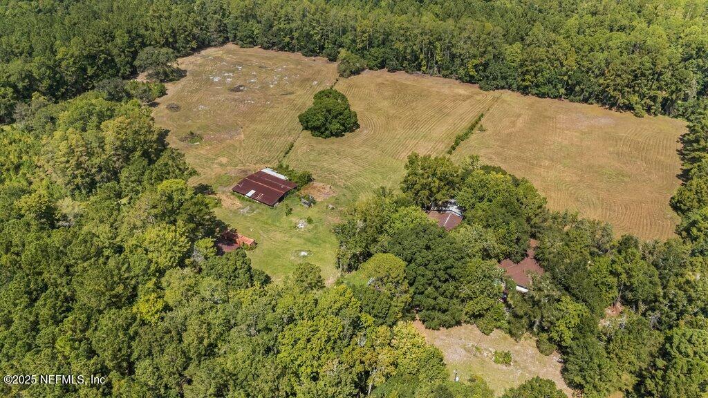 1308 Rigdon Road Jacksonville, FL 32220 - Photo 30 of 32 a backyard of a house with large trees and plants