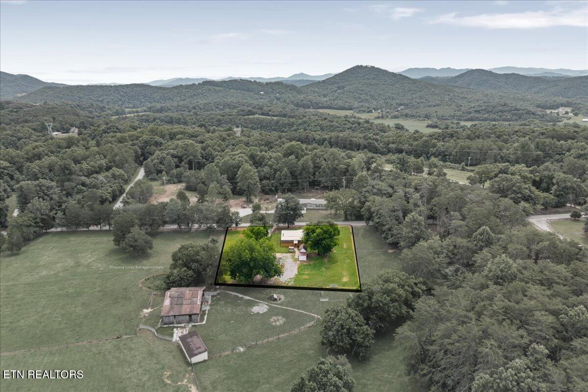 1091 Fairview Road Tellico Plains, TN 37385 - Photo 29 of 32 36-1091 Fairview-36