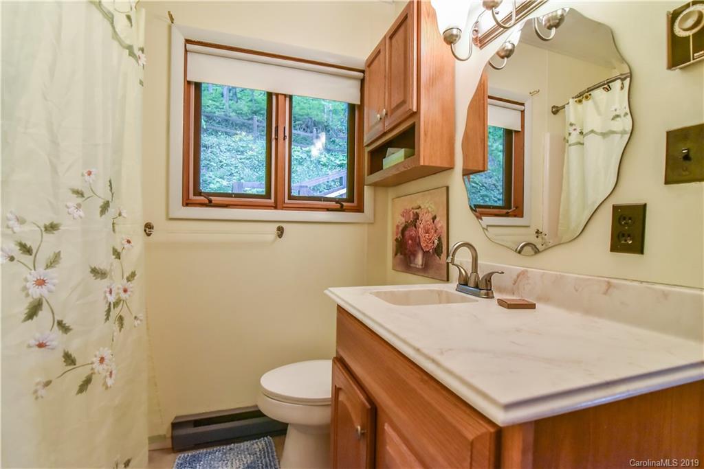 42 Buck House Road Mars Hill, NC 28754 - Photo 18 of 47 Gallery Image 18