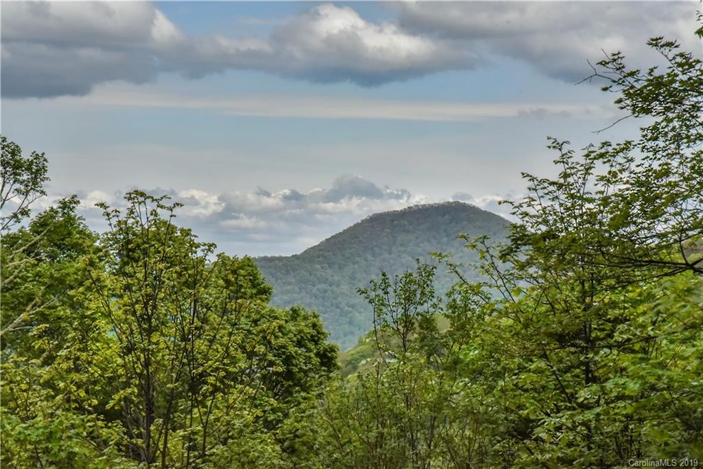 42 Buck House Road Mars Hill, NC 28754 - Photo 34 of 47 Gallery Image 34