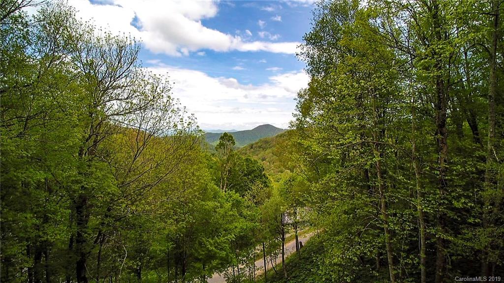 42 Buck House Road Mars Hill, NC 28754 - Photo 39 of 47 Gallery Image 39