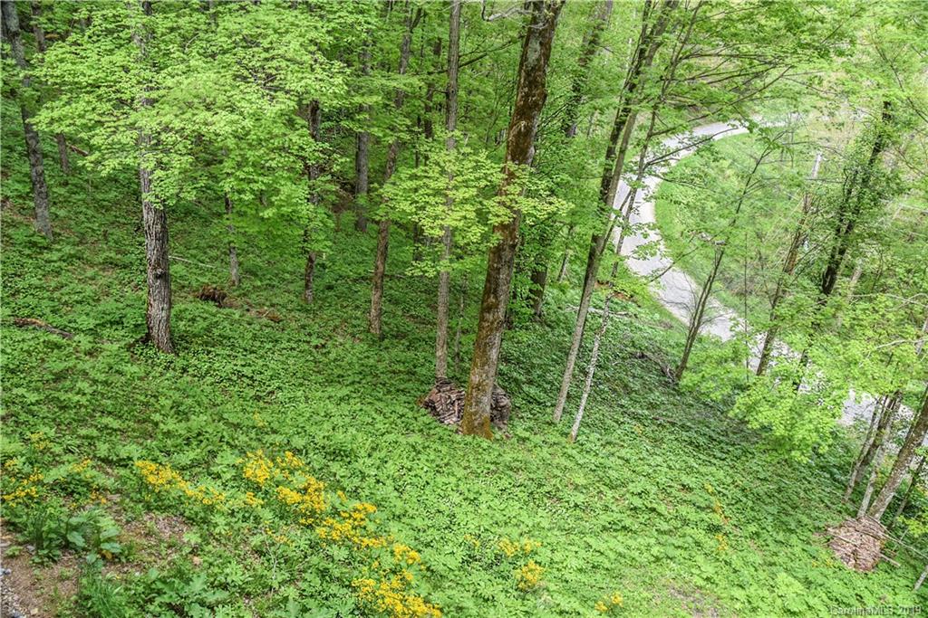 42 Buck House Road Mars Hill, NC 28754 - Photo 43 of 47 Gallery Image 43
