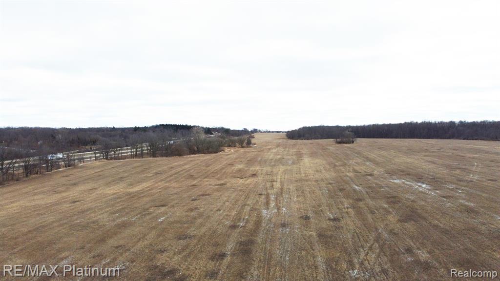 23 124 Acres Fenton, MI 48430 - Photo 3 of 6