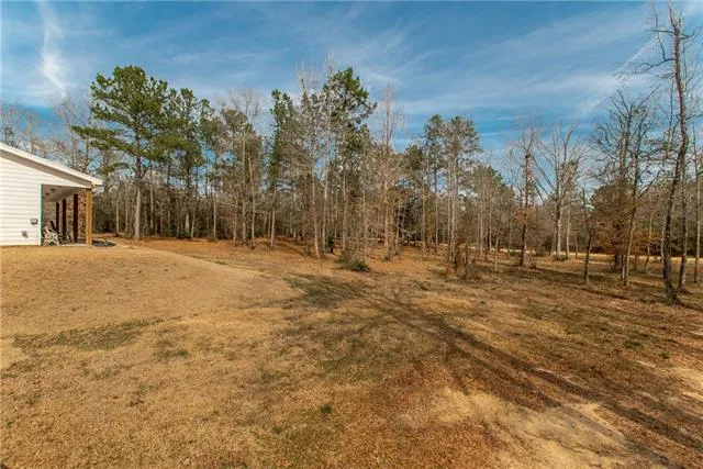$310,000 | 25451 Melanie Circle, Amite, LA 70422