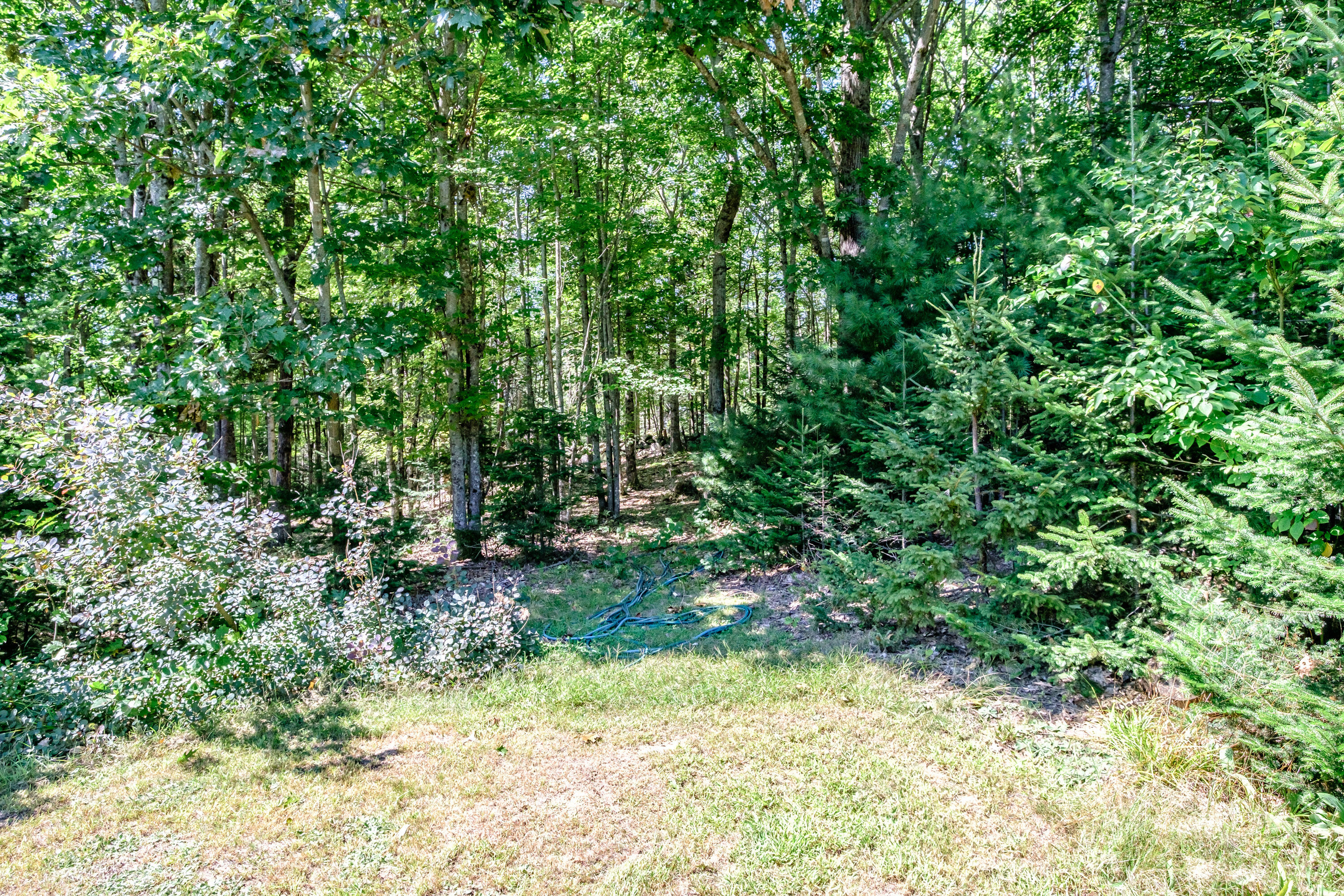95 Twitchell Road Bryant Pond, ME 04219 - Photo 65 of 74 20240829gp-65077