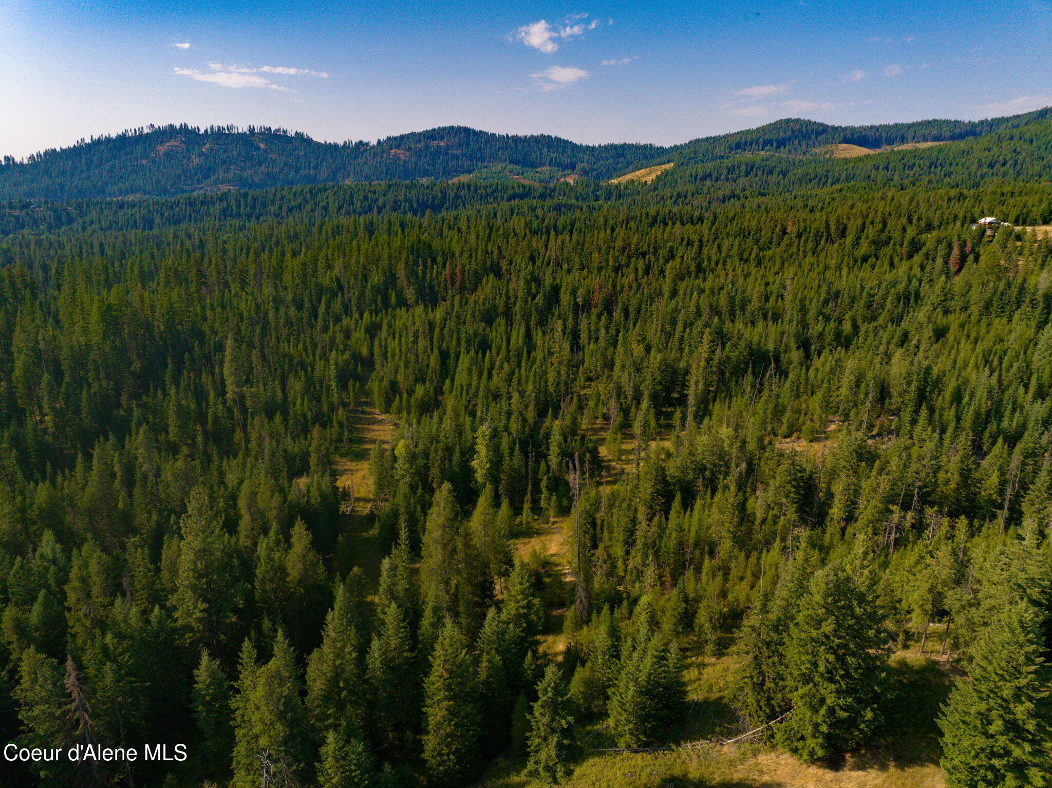 821 Willow Loop Road Fernwood, ID 83830 - Photo 6 of 10 2-web-or-mls-aerial-drone-2