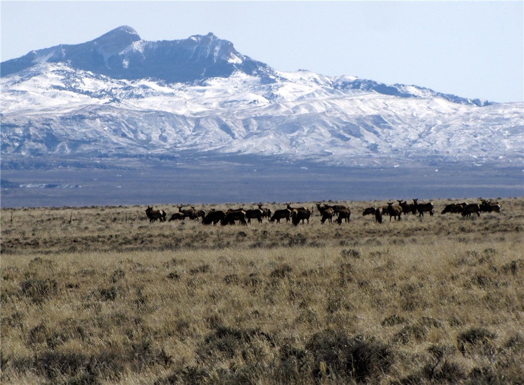 Tbd Tbd Ranger Way Red Lodge, MT 59068 - Photo 29 of 37 Gallery Image 29