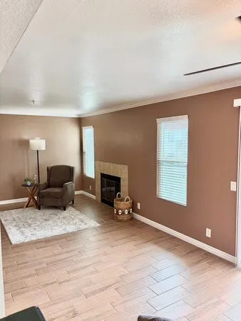 a view of a room with furniture and a potted plant