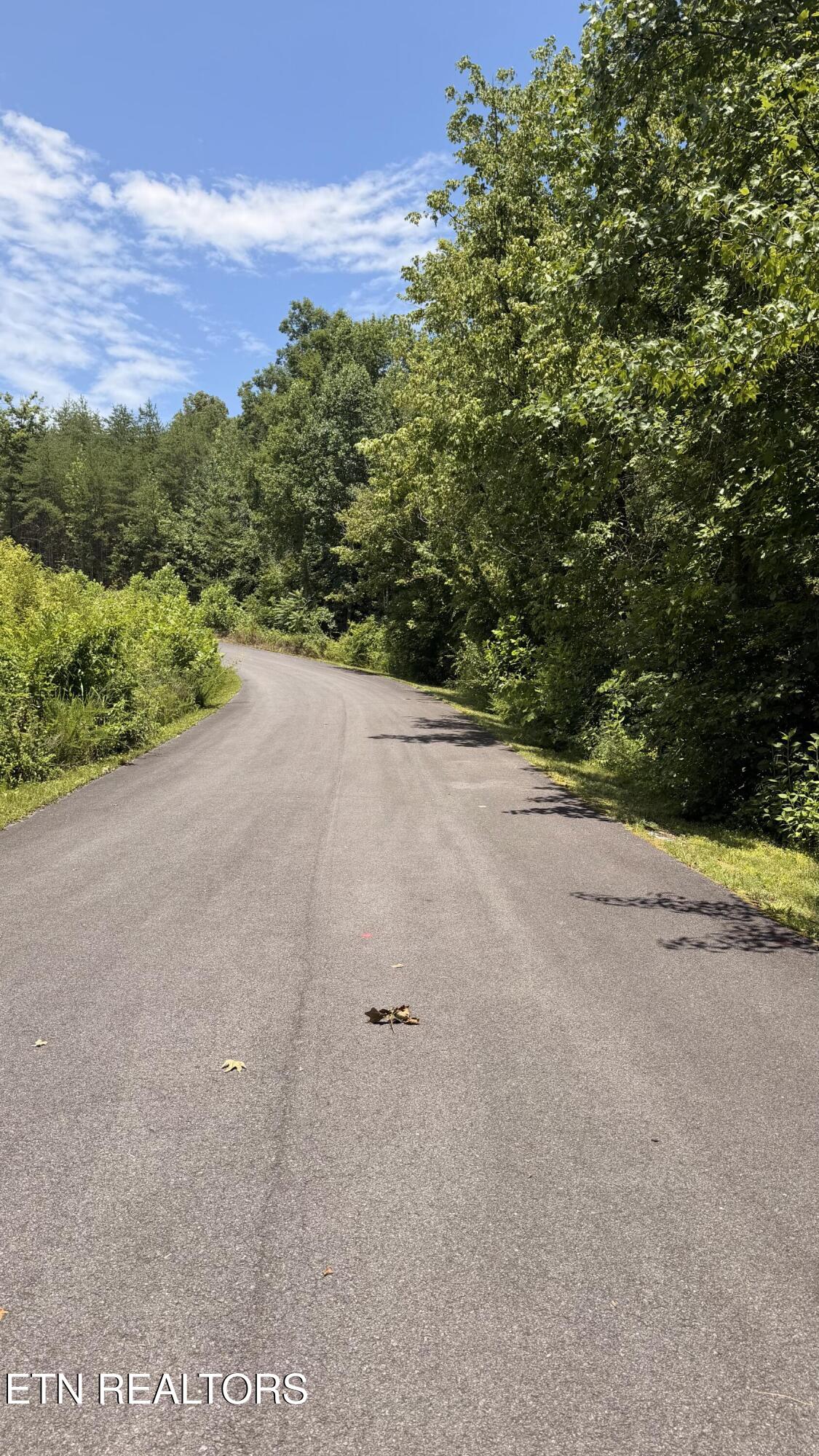 0 Huff Overlook Way Del Rio, TN 37727 - Photo 2 of 9 2_beyc6a4fc77d8aea1