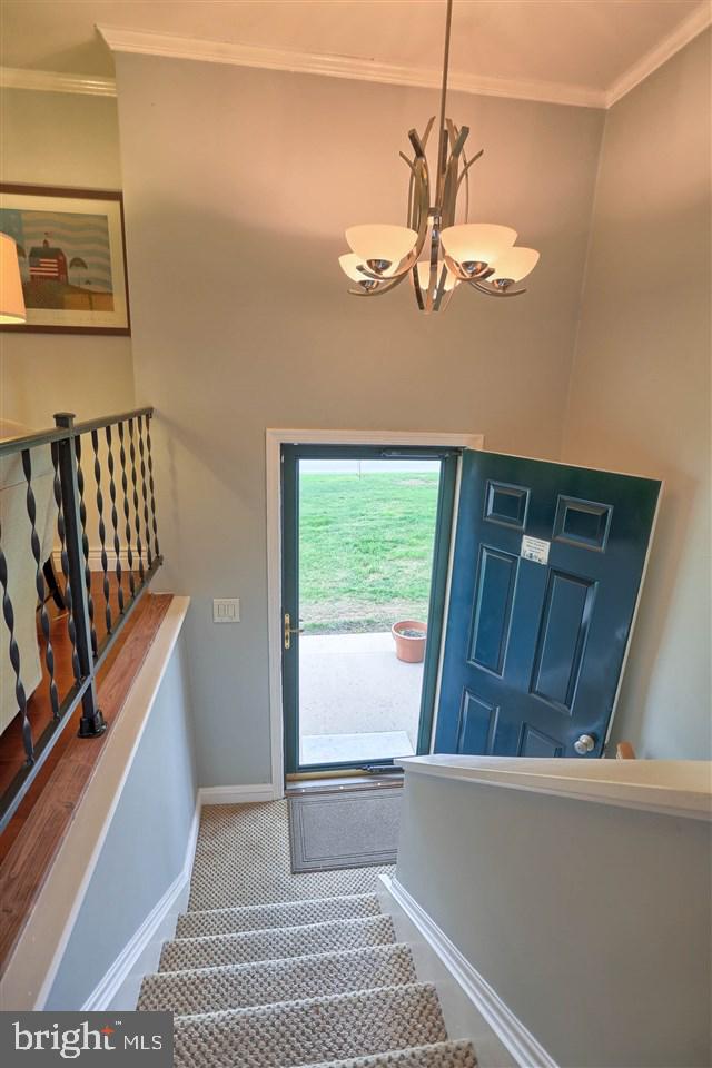 703 Baltimore Road Shippensburg, PA 17257 - Photo 3 of 25 Gallery Image 3