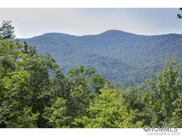 11 Silver Springs Road Sapphire, NC 28774 - Photo 21 of 23 Gallery Image 21