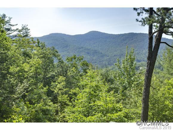 11 Silver Springs Road Sapphire, NC 28774 - Photo 22 of 23 Gallery Image 22