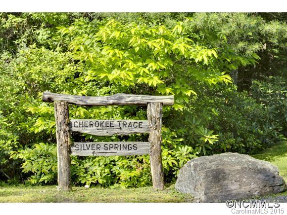 11 Silver Springs Road Sapphire, NC 28774 - Photo 23 of 23 Gallery Image 23