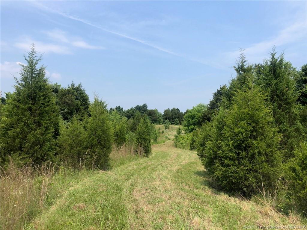 1503 Grange Hall Road Northeast Corydon, IN 47112 - Photo 8 of 16