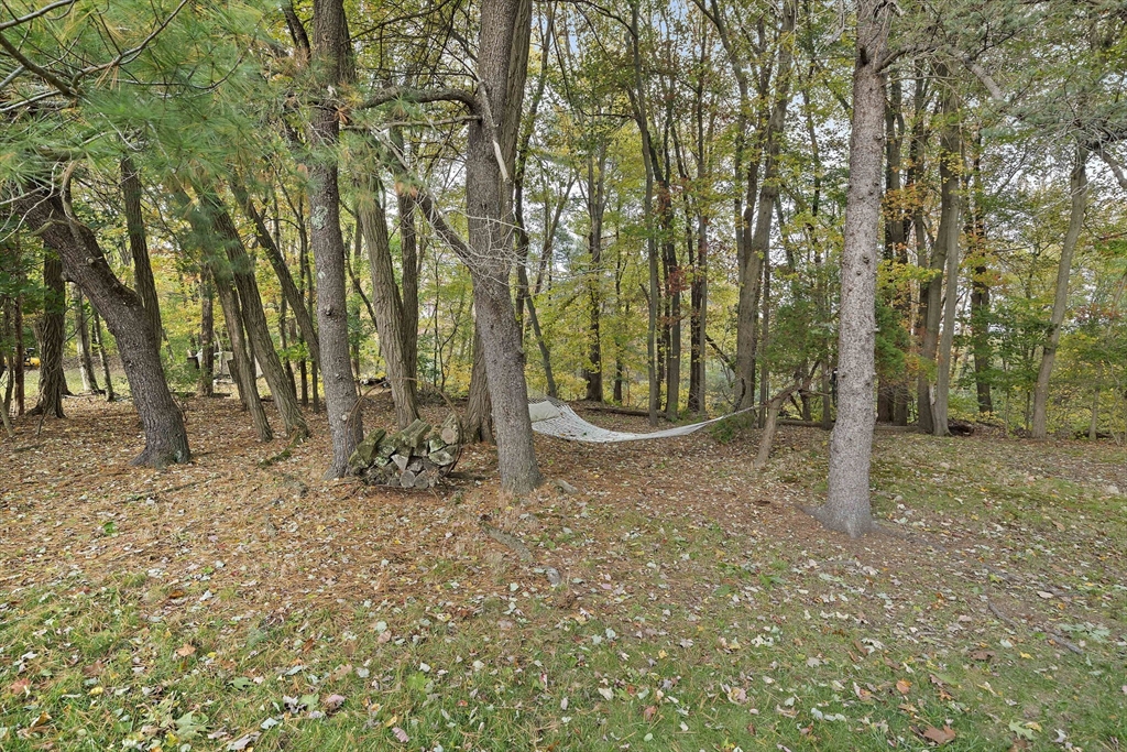 26 Wentworth Road Canton, MA 02021 - Photo 26 of 28 a view of a forest with trees