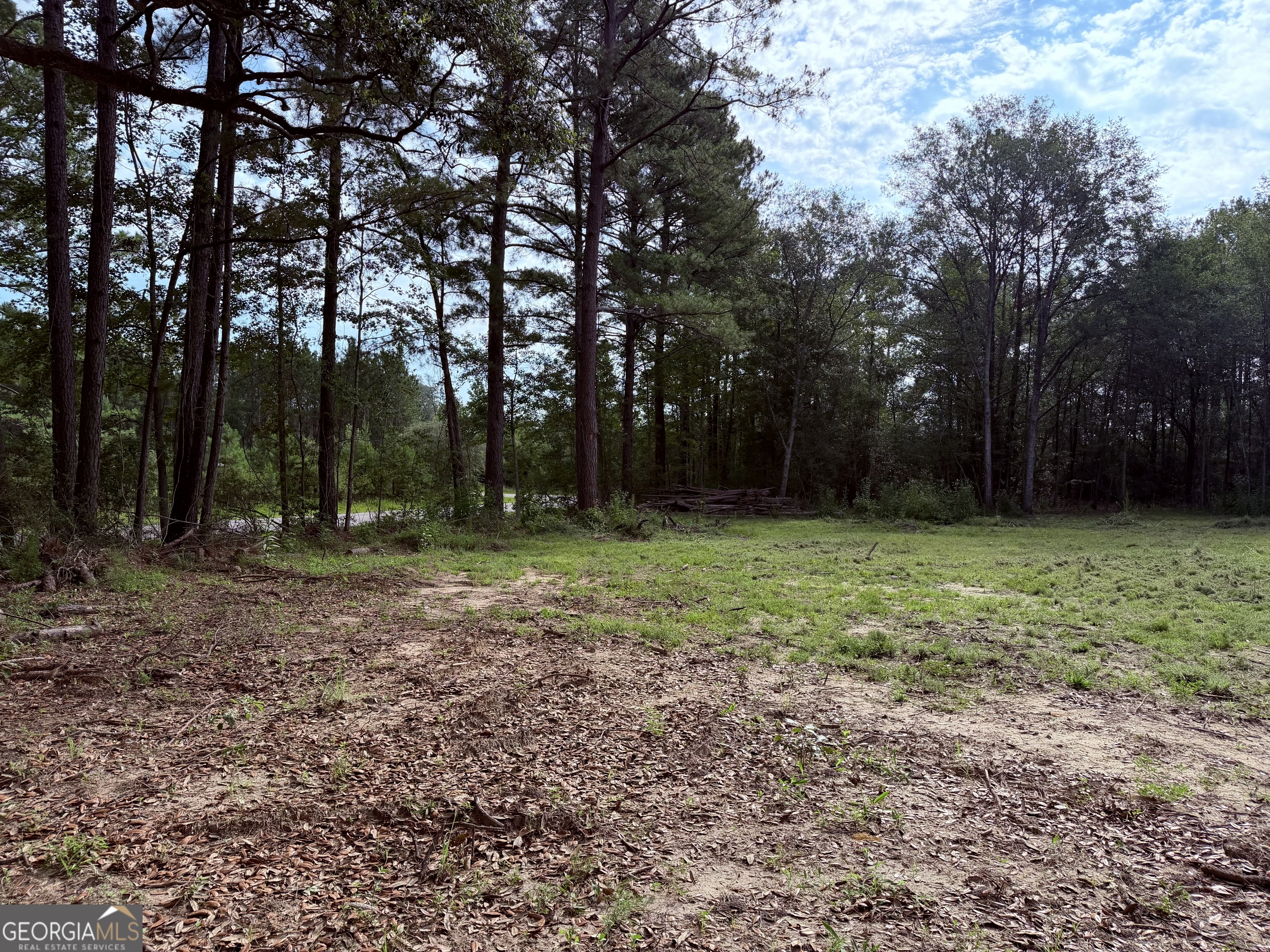 3980 Mosley Road Claxton, GA 30417 - Photo 2 of 10