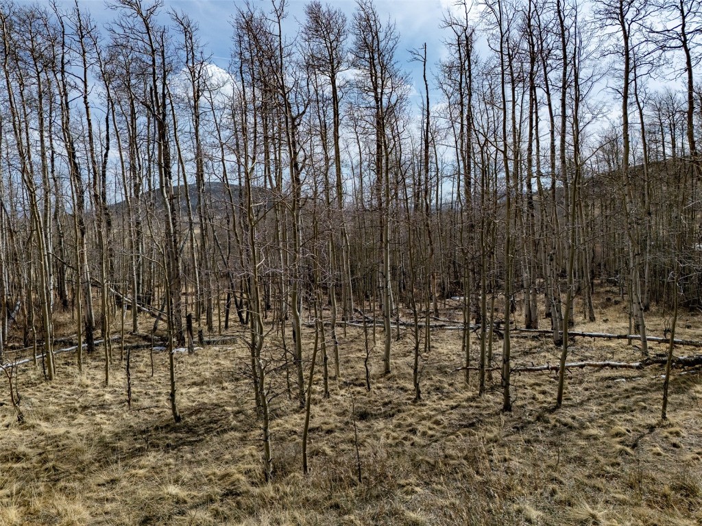 1555 Sheep Ridge Road Fairplay, CO 80440 - Photo 13 of 18