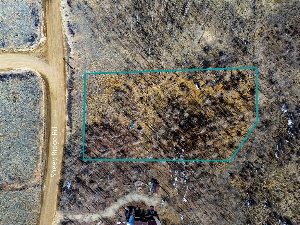 1555 Sheep Ridge Road Fairplay, CO 80440 - Photo 18 of 18