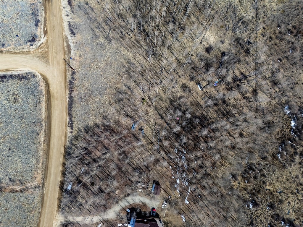 1555 Sheep Ridge Road Fairplay, CO 80440 - Photo 3 of 18