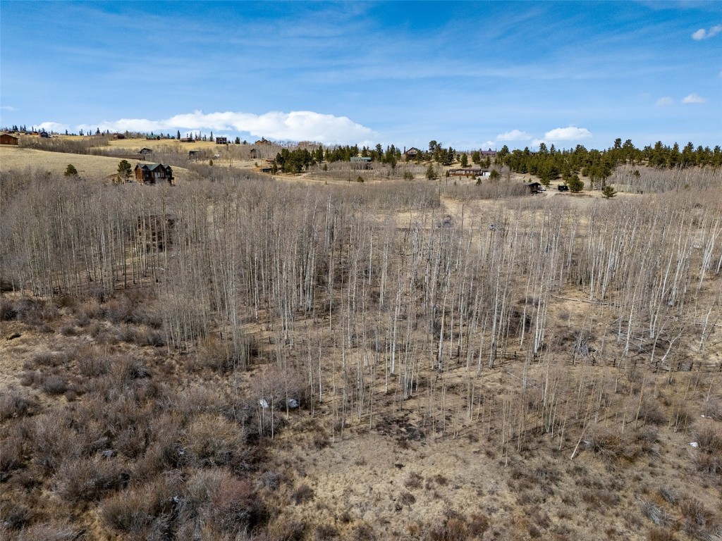 1555 Sheep Ridge Road Fairplay, CO 80440 - Photo 8 of 18