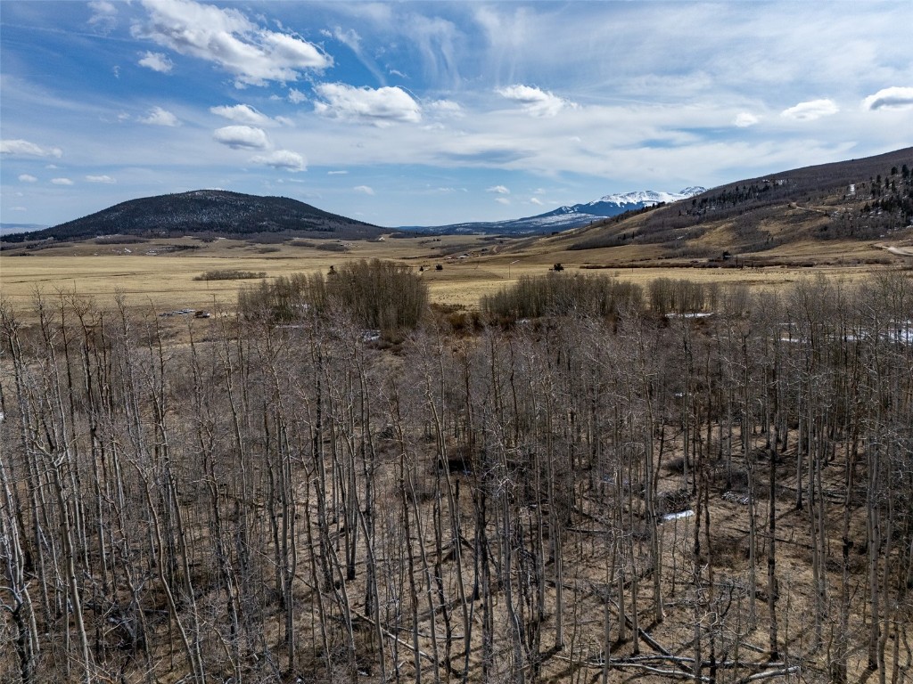 1555 Sheep Ridge Road Fairplay, CO 80440 - Photo 10 of 18