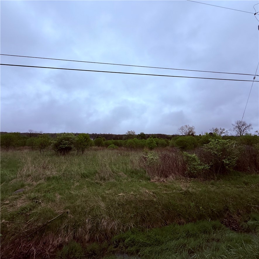 0 Reeds Corners Road Dansville, NY 14437 - Photo 7 of 13