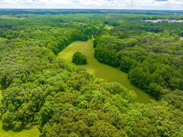 a view of a garden with a building in the background