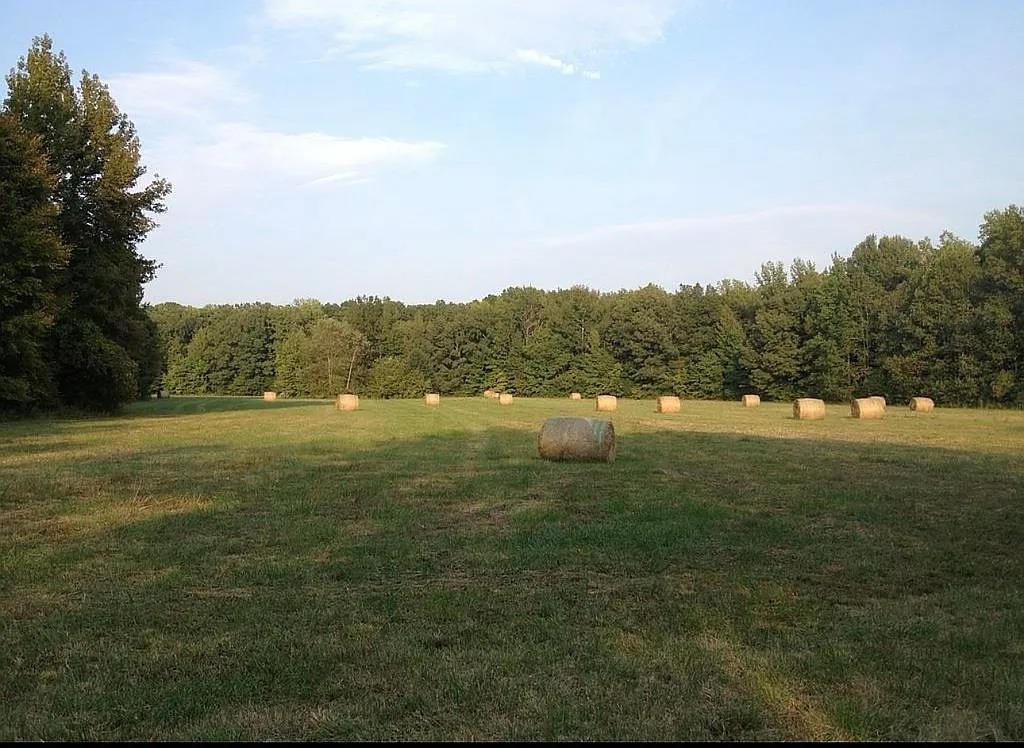 0 Dogwood Road Somerville, TN 38068 - Photo 9 of 16 a view of lake with green field