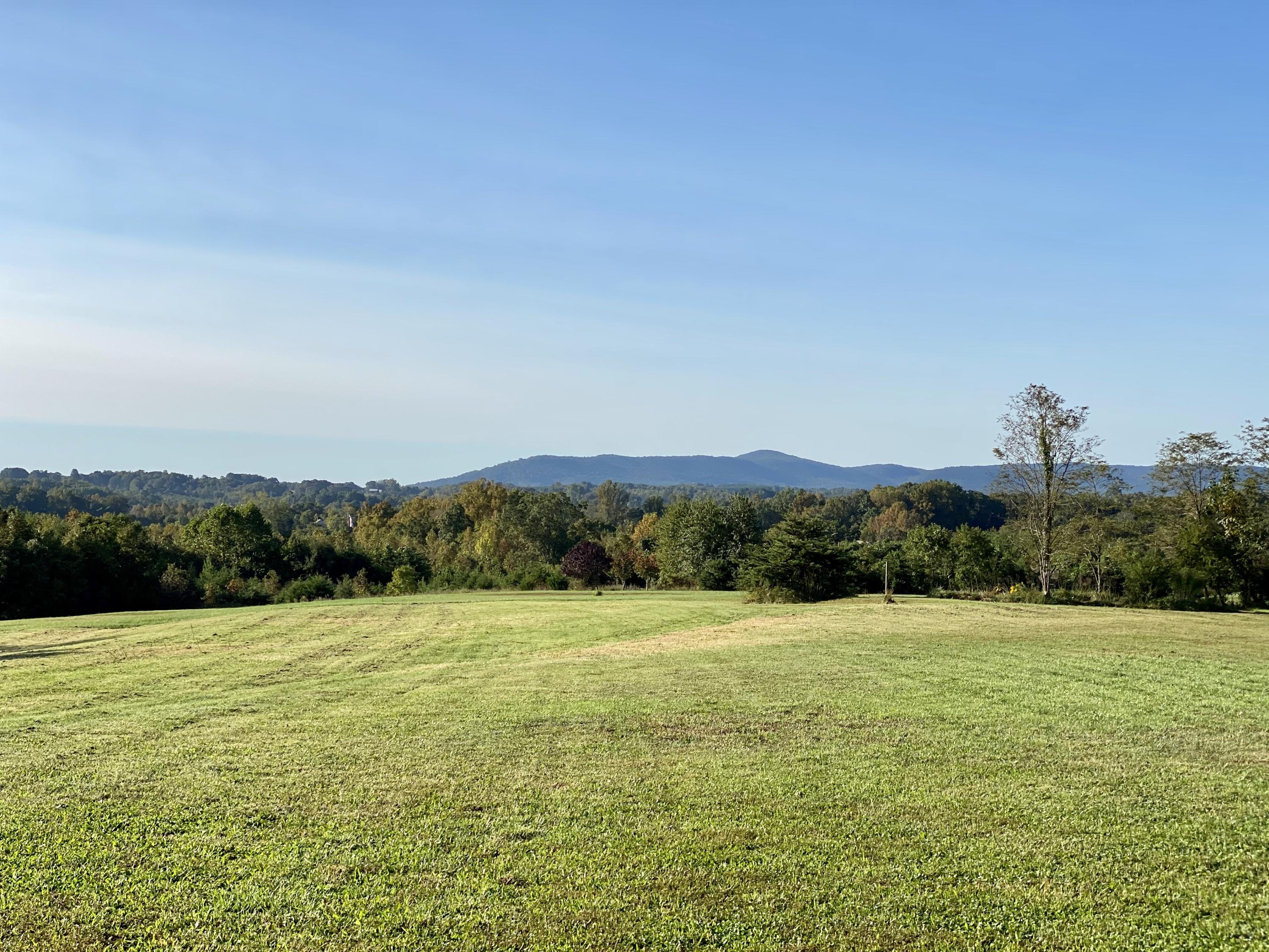 4100 Hatchett Road Penhook, VA 24137 - Photo 12 of 40 Pasture land on second side