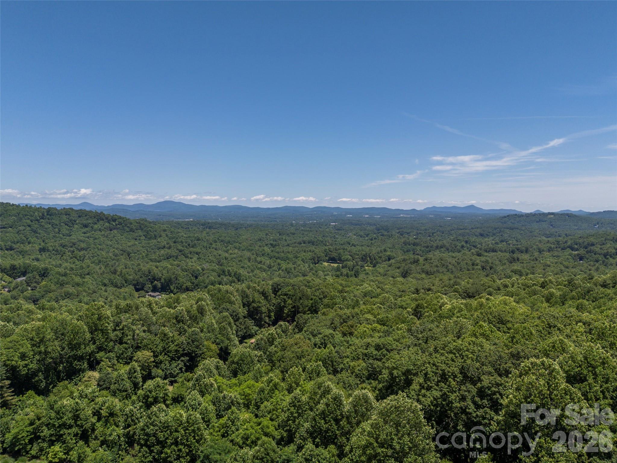 2 Meadow Ridge Lane Hendersonville, NC 28739 - Photo 43 of 48