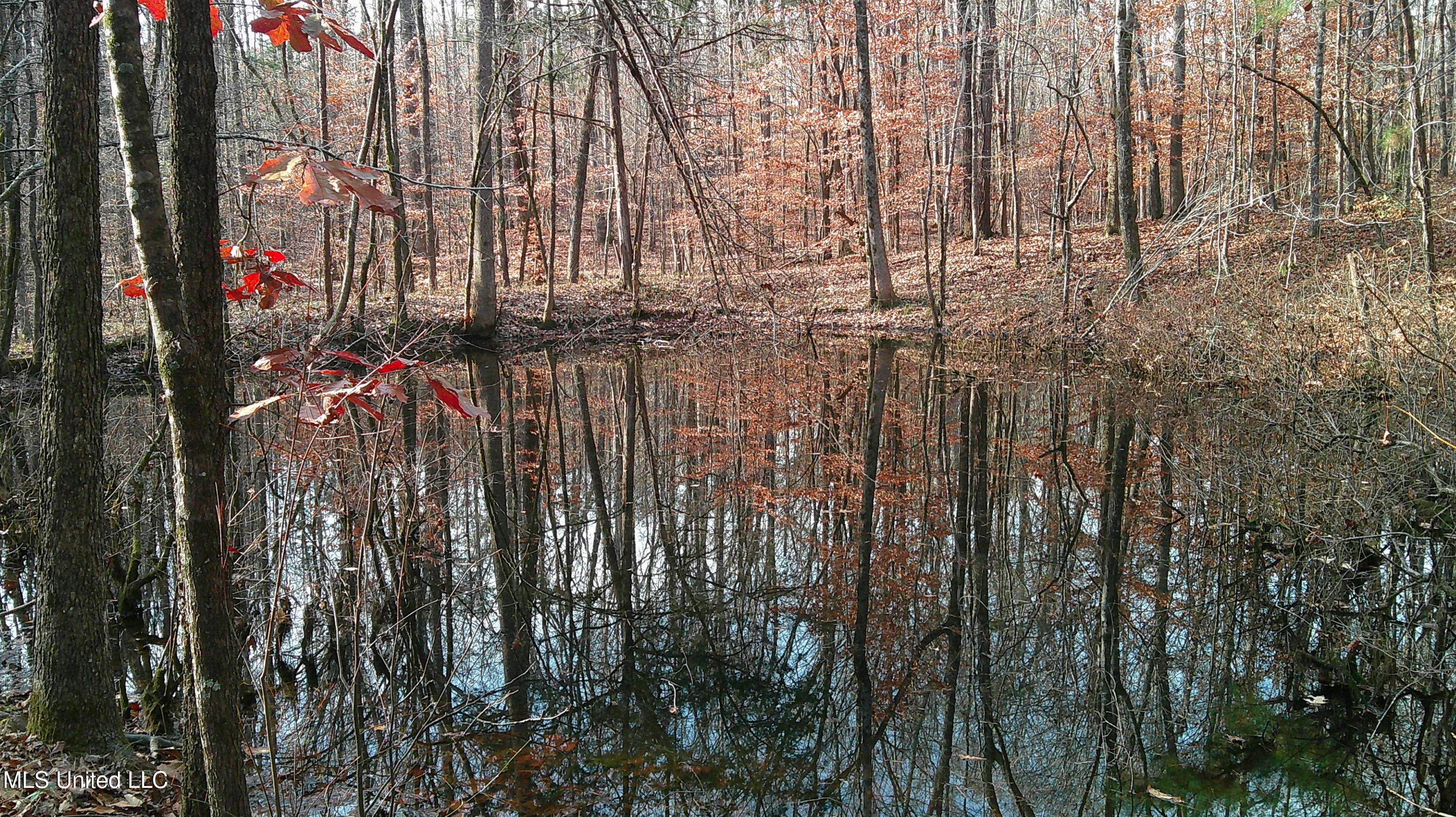 9 Hwy Blue Springs Blue Springs, MS 38828 - Photo 11 of 19 DSCF0064