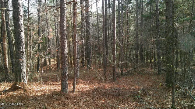 $99,500 | 9 Hwy Blue Springs, Blue Springs, MS 38828