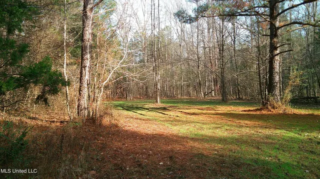 $99,500 | 9 Hwy Blue Springs, Blue Springs, MS 38828