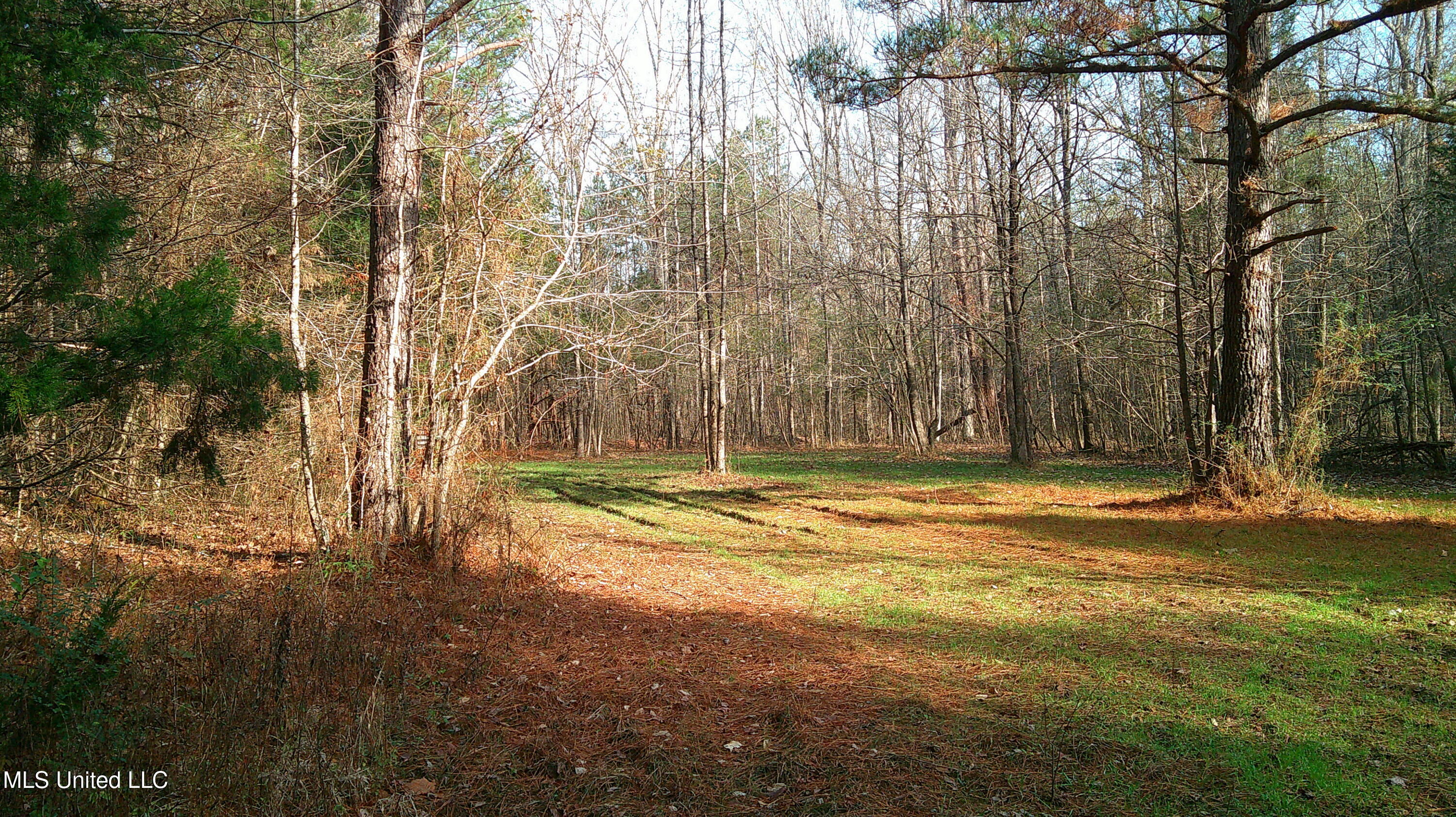 9 Hwy Blue Springs Blue Springs, MS 38828 - Photo 13 of 19 DSCF0067