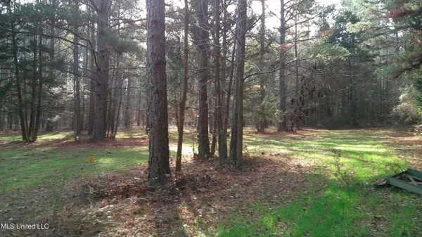 $99,500 | 9 Hwy Blue Springs, Blue Springs, MS 38828