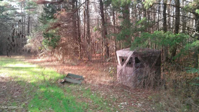 $99,500 | 9 Hwy Blue Springs, Blue Springs, MS 38828