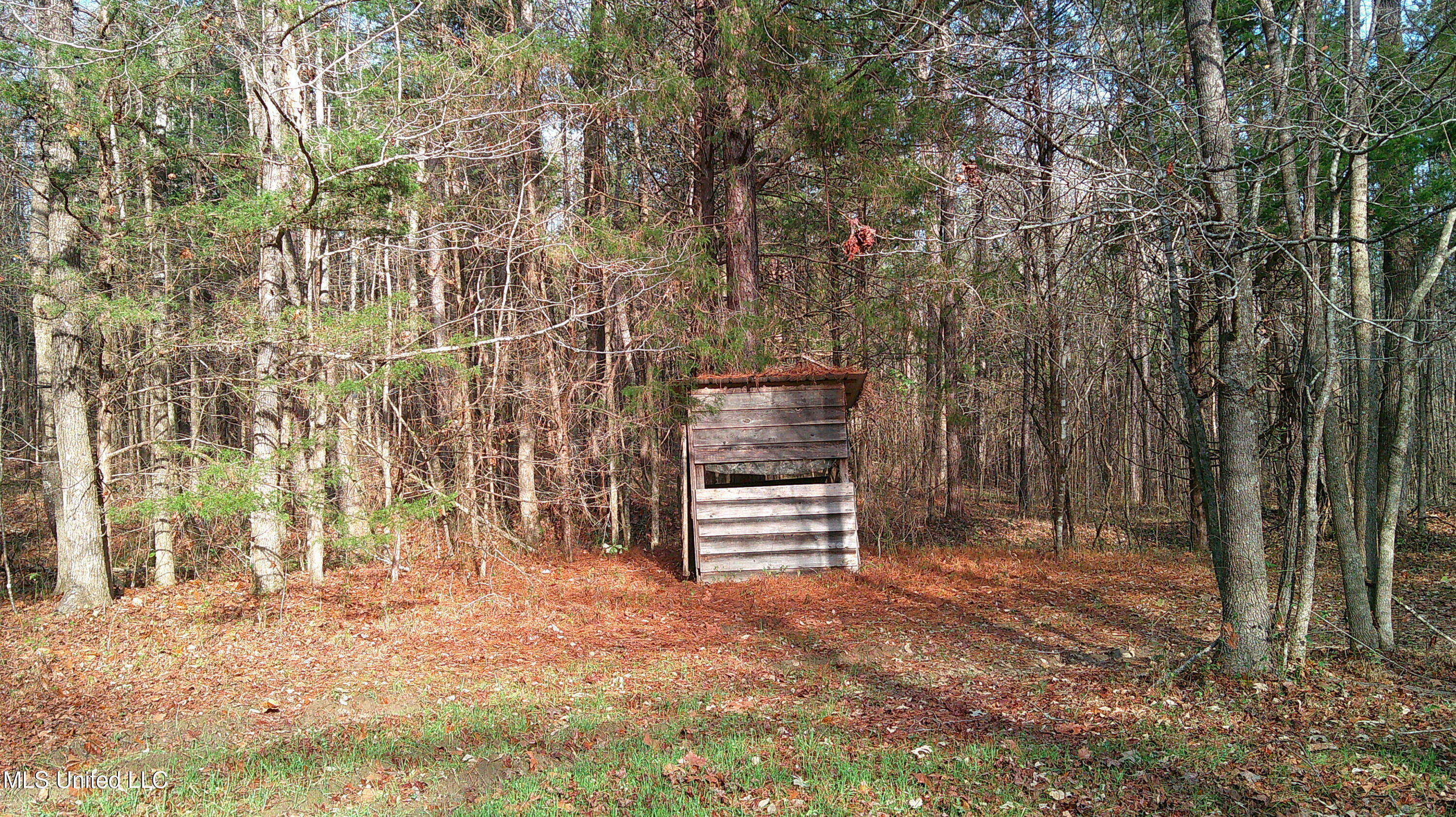 9 Hwy Blue Springs Blue Springs, MS 38828 - Photo 17 of 19 DSCF0071