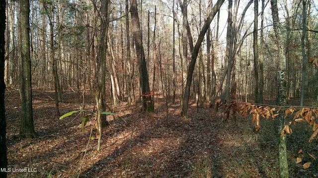 $99,500 | 9 Hwy Blue Springs, Blue Springs, MS 38828