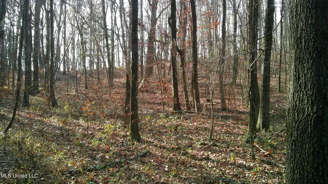 $99,500 | 9 Hwy Blue Springs, Blue Springs, MS 38828