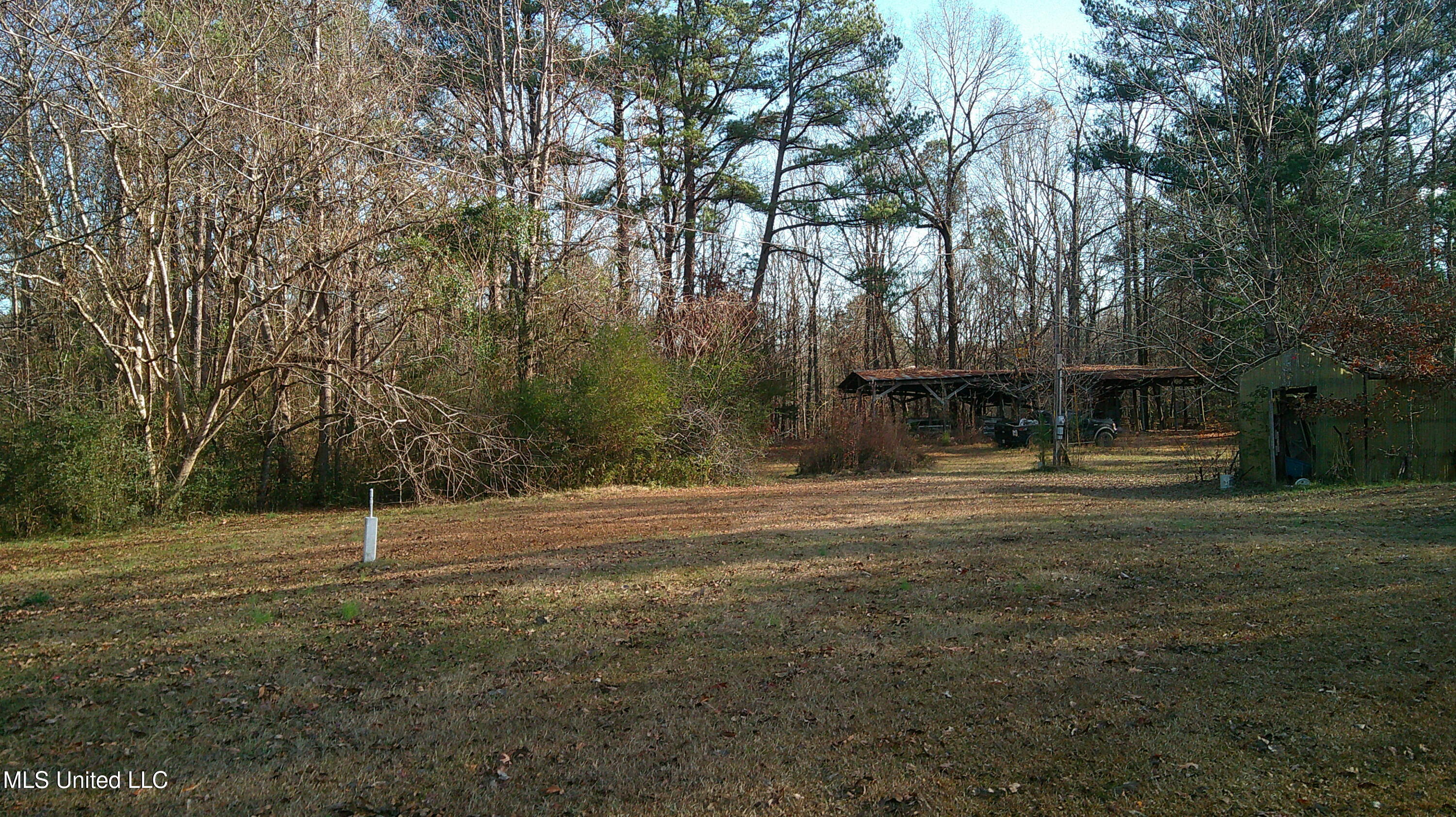 9 Hwy Blue Springs Blue Springs, MS 38828 - Photo 2 of 19 DSCF0055