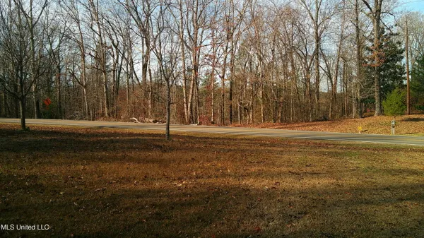 $99,500 | 9 Hwy Blue Springs, Blue Springs, MS 38828