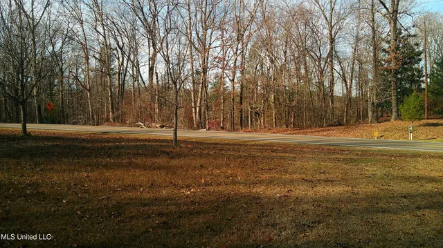 $99,500 | 9 Hwy Blue Springs, Blue Springs, MS 38828